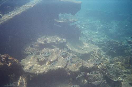 WWII relics dive. Tanks, Jeeps, Trucks.