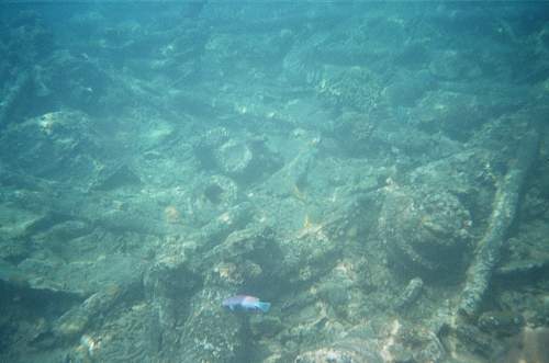 WWII relics dive. Tanks, Jeeps, Trucks.