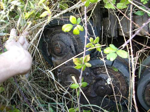 Tiger found in mud-Korsun/Cherkasy