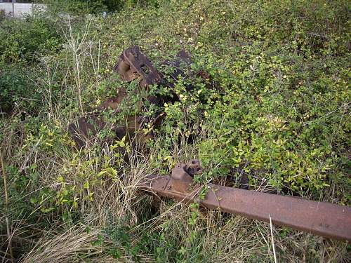 Tiger found in mud-Korsun/Cherkasy