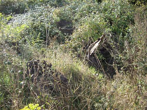 Tiger found in mud-Korsun/Cherkasy