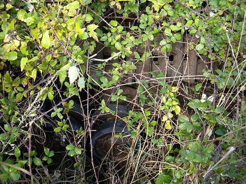 Tiger found in mud-Korsun/Cherkasy