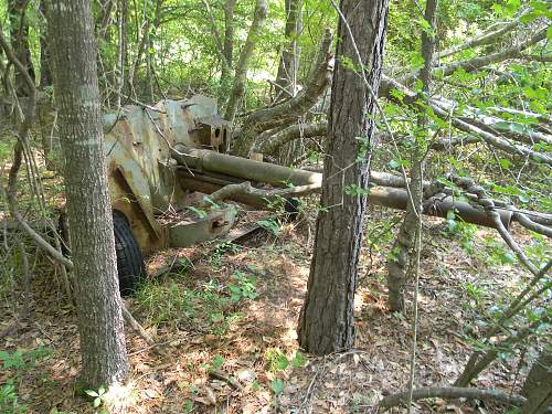 Abandoned anti-tank guns