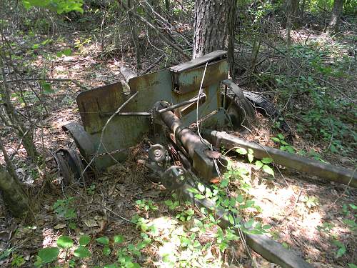Abandoned anti-tank guns
