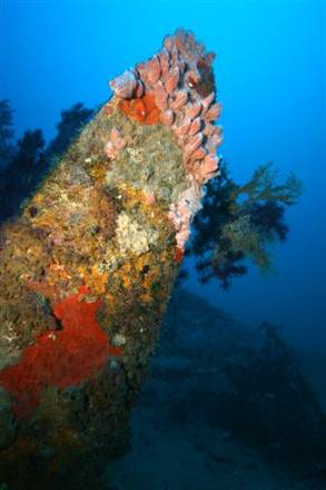 Me 323 Gigant discovery off Sardinia