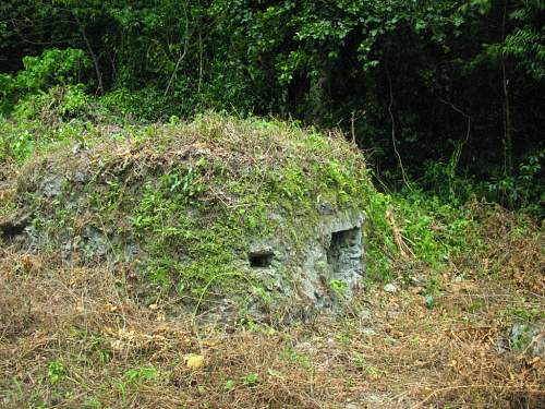 Peleliu Island