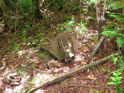 Peleliu Island