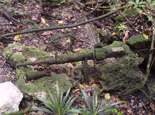 Peleliu Island