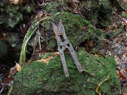 Peleliu Island