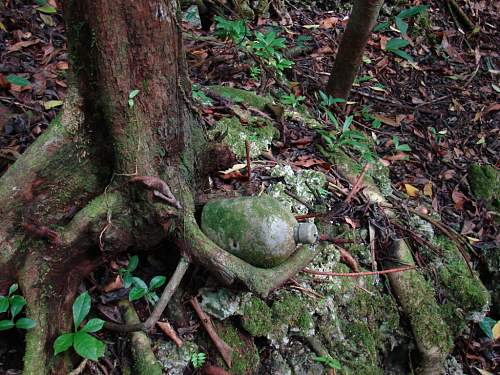 Peleliu Island