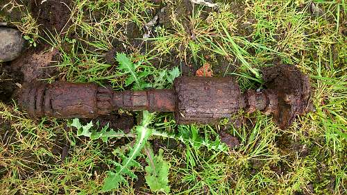 relics in barbed structure