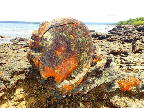 WWII relics dive. Tanks, Jeeps, Trucks.