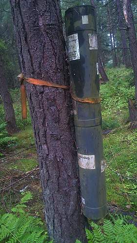 strange relic tied to a tree