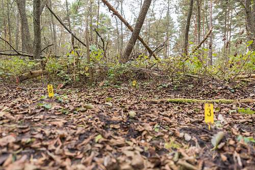 German porcelain fragments  and makers marks on other items  from conflict archaeology excavation in Finland