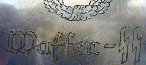 Waffen SS plate - authentic?