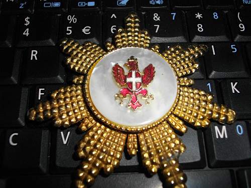 Order of Phoenix Badge? Can ANYONE IDENTIFY or HELP! Has small words coro on back