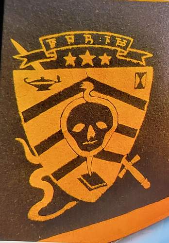 Mystery emblem with a skull  oooooo scary