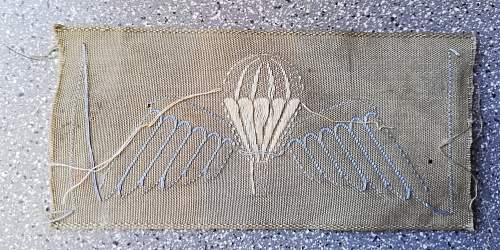 to identify 2 airborne wings