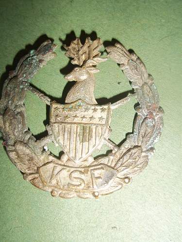 A few cap badges found in the attic:)