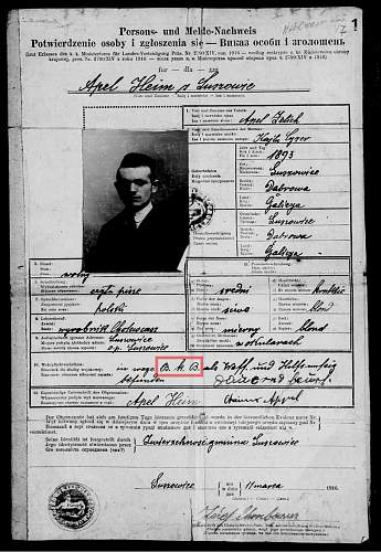 Austro-Hungarian conscription document [WW1]