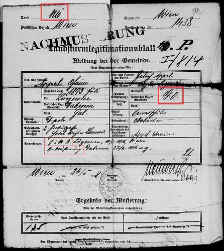 Austro-Hungarian conscription document [WW1]