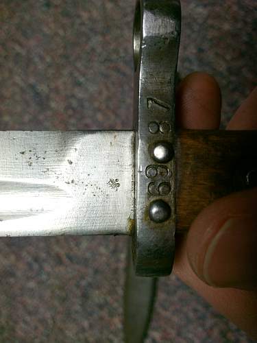 M95 Austrian Bayonet