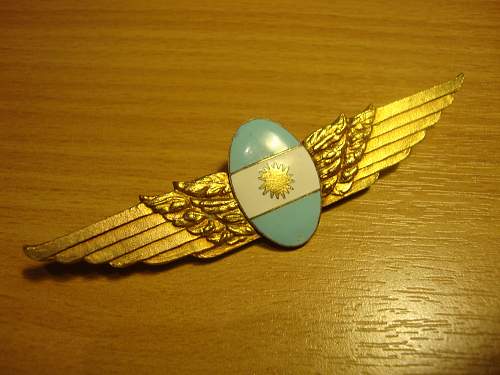 Argentinian Wing Badge Pilots?