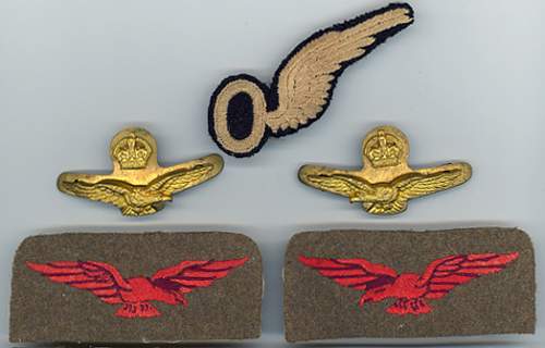 . . . More 1918 raf insignia