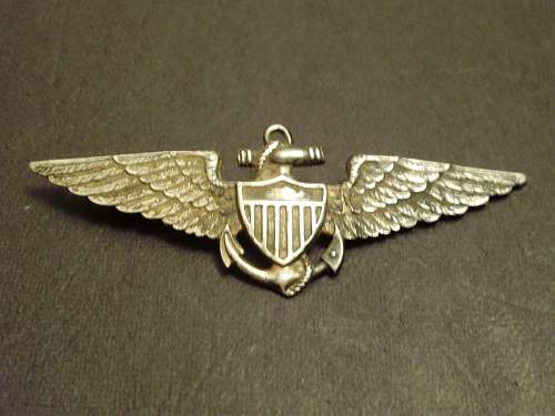 US Navy Pilot Wing !