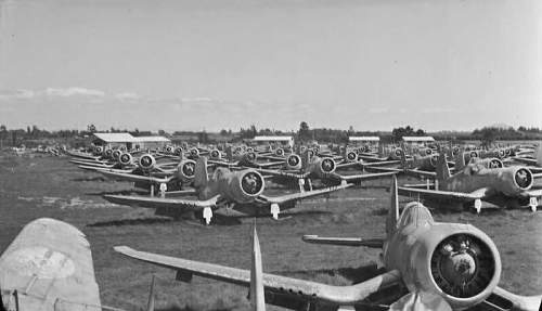 Rukuhia WW2 Aircraft Boneyard