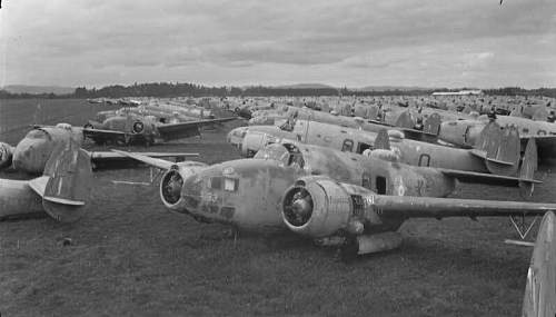 Rukuhia WW2 Aircraft Boneyard