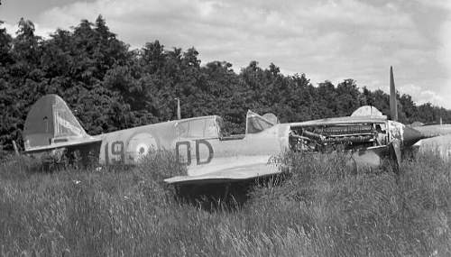 Rukuhia WW2 Aircraft Boneyard