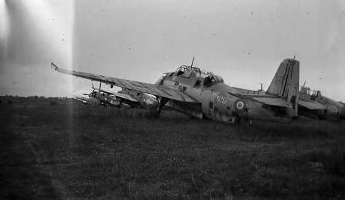 Rukuhia WW2 Aircraft Boneyard