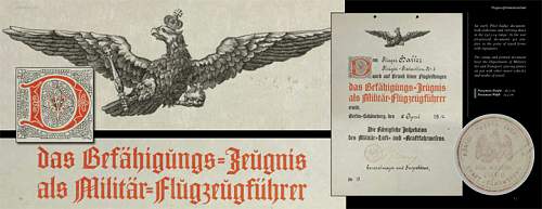 Imperial Sky: Flight Badges of Imperial Germany &amp; Her Allies