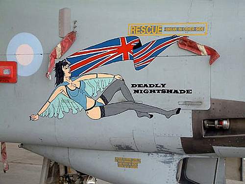 Post your favourite nose art !