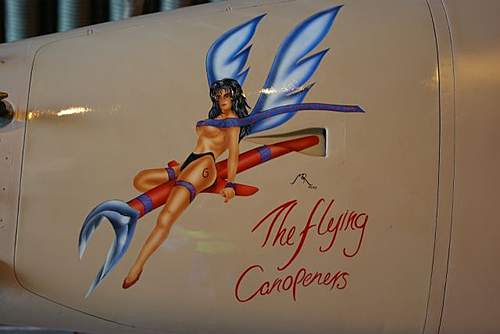 Post your favourite nose art !