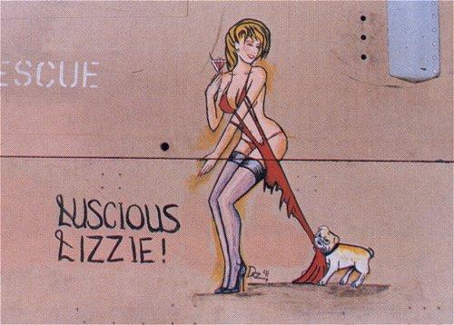 Post your favourite nose art !