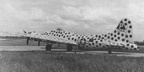 'The Spotted Cow' B17