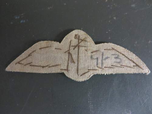 RFC Cloth wings