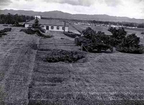 Lockheed Factory USA Camouflage