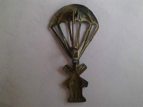 unknown para-badge or wing?