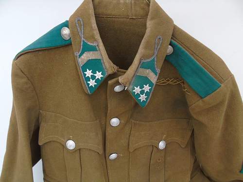 Hungarian WW2 Jacket?