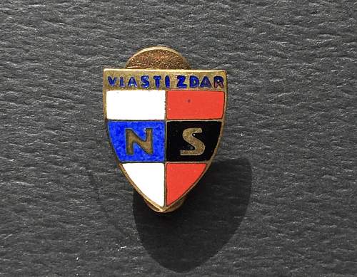 Czech NSDAP Pin and documents