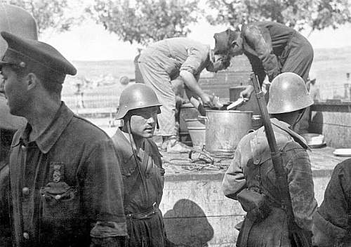 Spanish M26 Helmet &quot;Trubia con Ala&quot;