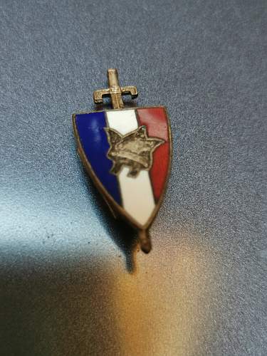 Vichy France lapel pin