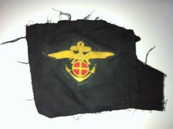 Norwegian Hird-Marine insignia