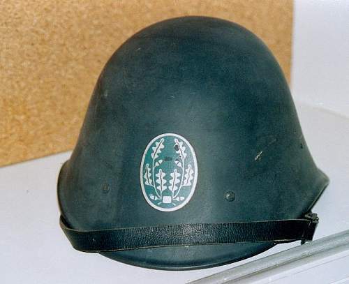Vlaamse Wacht/ Garde Wallonie helmet colour ?