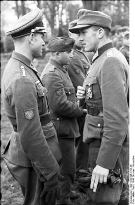 Uniforms and insignia for Cossack and ROA/POA