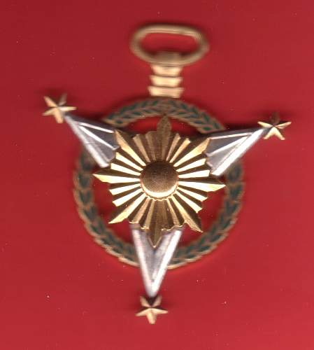 What is this medal with enamel?