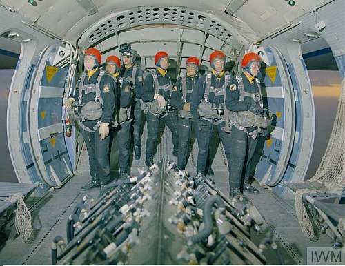 Helmet Parachutists, RAF instructors display team helmet